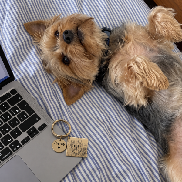 Personalisierter Schlüsselanhänger mit gravierter Zeichnung eines Yorkshire Terriers und goldenem Namensanhänger neben dem entspannten Hund auf dem Bett